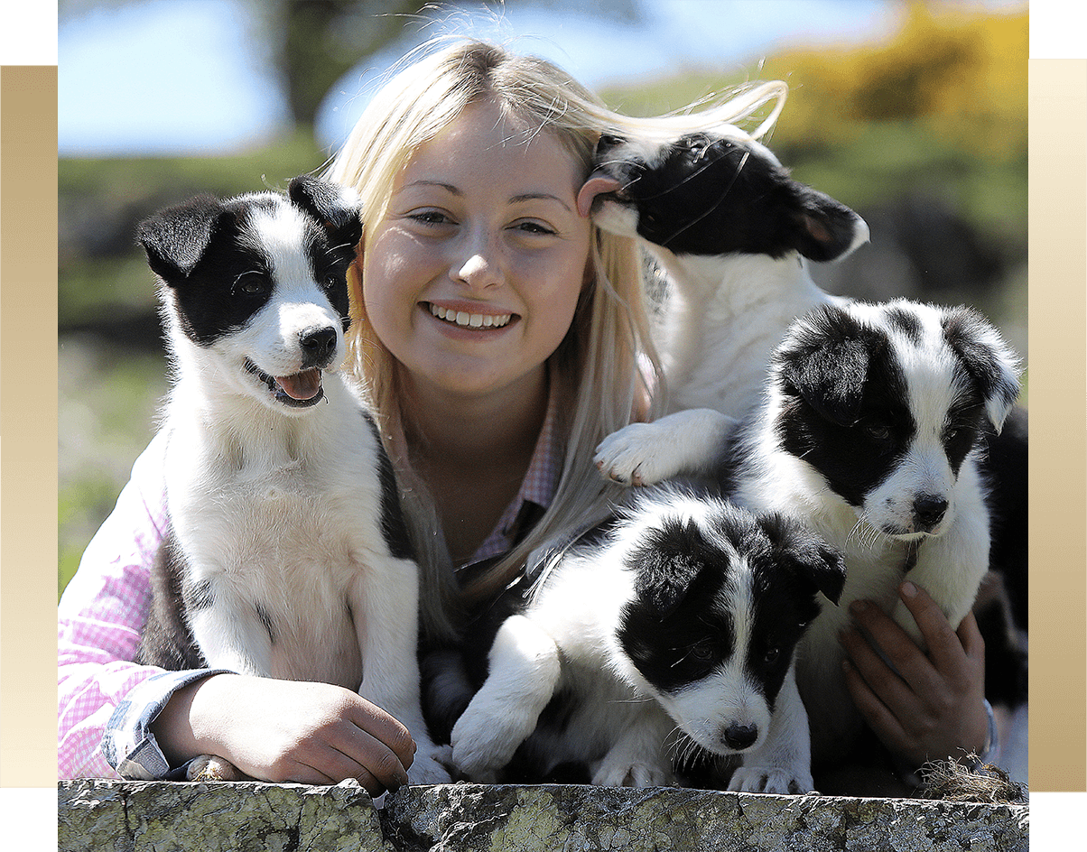 clay-connections-ian-cooper-photography-pr-corporate-portrait-events-north-west-animal-portrait